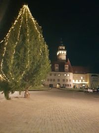Altmarkt Baum 2019 (3)